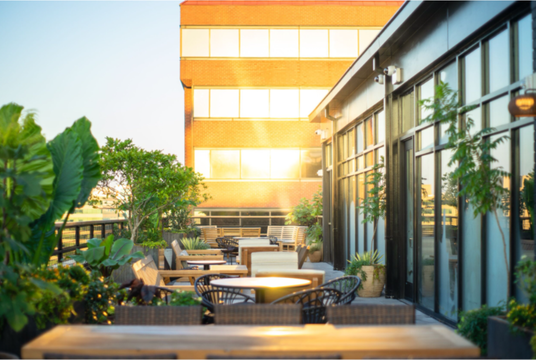 未開封】Wild dayz Beezer Wild dayz 【公式通販】